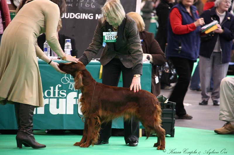 Crufts2011 392.jpg